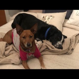 Meet your Posher, June